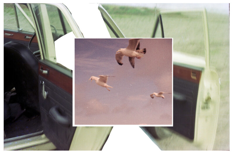 Do not cut the film, 2024