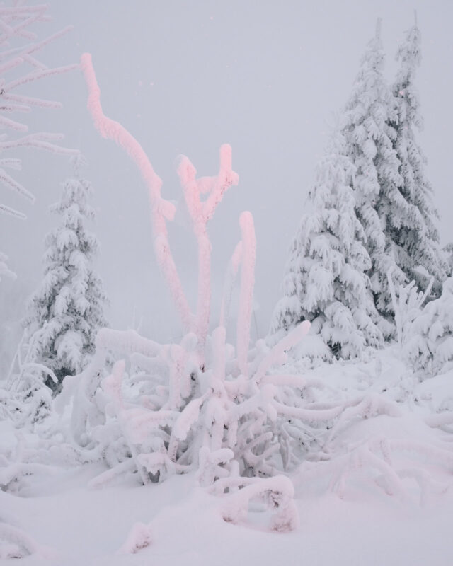 "Vor einem großen Walde"