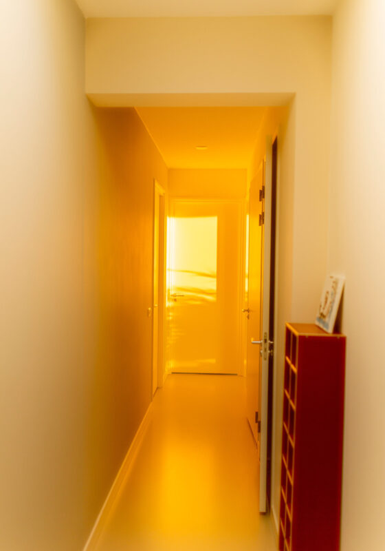 Own your piece of the sky, 2017–ongoing