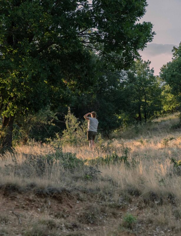 Transient Ties, 2022–2023